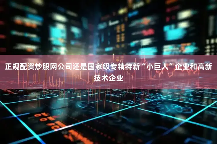 正规配资炒股网公司还是国家级专精特新“小巨人”企业和高新技术企业