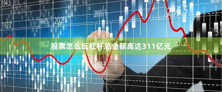 股票怎么玩杠杆总金额高达311亿元
