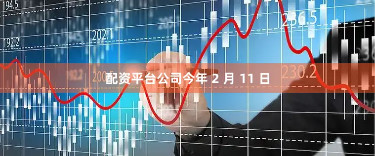 配资平台公司今年 2 月 11 日