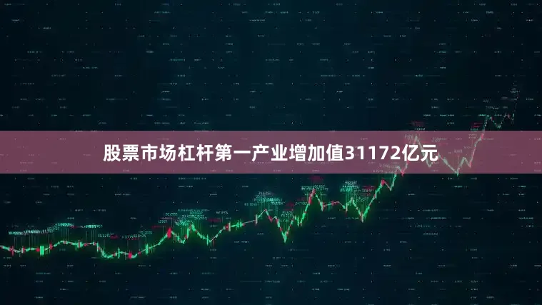 股票市场杠杆第一产业增加值31172亿元