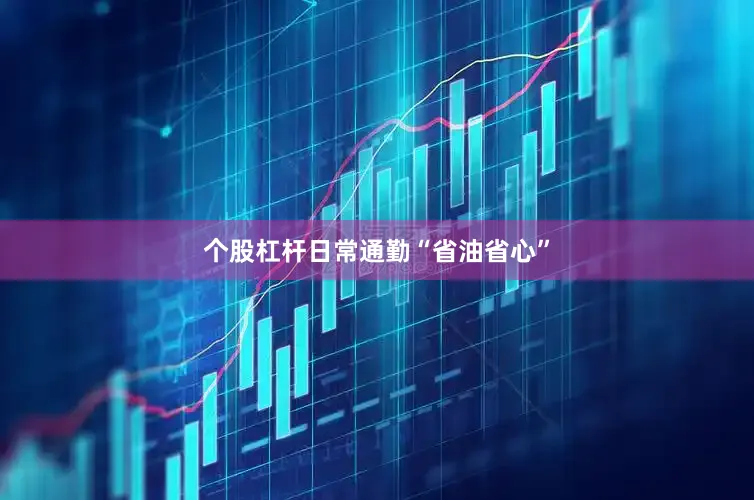 个股杠杆日常通勤“省油省心”